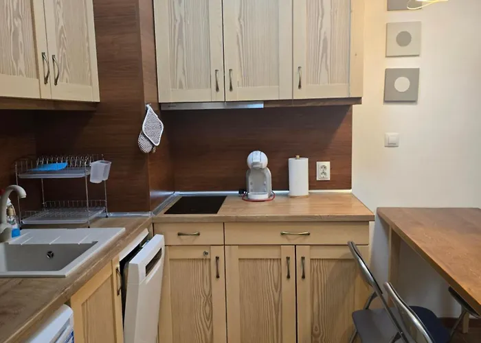 公寓 Belvedere K203 班斯科